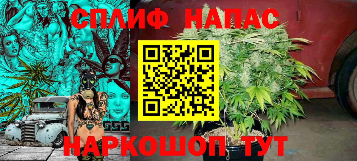 Каннабис OG Kush Москва